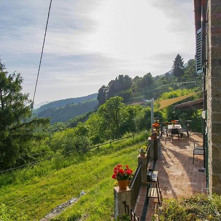 Casa Serena Petrognano  Extérieur photo