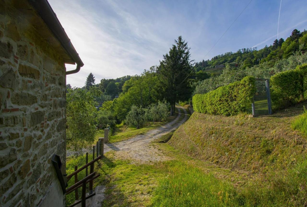 Casa Serena Petrognano  Extérieur photo